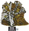 Geophysicists Study Esquel Meteorite with Superconducting Quantum Interference Device