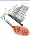 Researchers Gain an Understanding of Quantum Ferromagnetism Using an Atom-by-Atom Approach