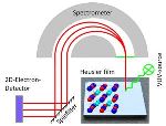 JGU Researchers Directly Observe 100% Spin Polarization of Heusler Compound