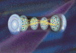 Pancakes' of Ultracold Atoms Trapped Between Mirrors Investigate Dicke Model of Atom-Light Interaction