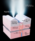 Scientists Identify 101 Geysers Erupting on Saturn’s Icy Moon Enceladus