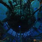 First Experimental Observation of Quantum Cheshire Cat