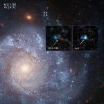 Zombie Star Left Behind After Weak Supernova Explosion