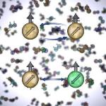 Physicists Confirm Exotic Quantum Physics Theory