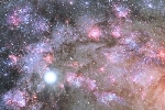 Earliest Stages of Massive Galaxy Construction Seen Through NASA Telescopes