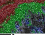 Research Shows New Type of Material for Superconducting Magnets