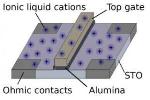 Exotic Emergent Phenomena in Two-Dimensional Electron Liquids