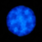 Atacama Large Millimeter/submillimeter Array Completes High Frequency Observing Campaign