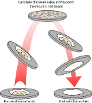 New Paper on Weak Measurement in Quantum Information Science