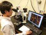 Researchers Uncover "Smoking-Gun" Evidence to Confirm Workings of Topological Insulators