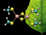 Computing Quantum Mechanical Behavior Reveals Electronic States of Iron-Sulfur Clusters