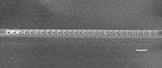 Nitrogen Vacancy Center Diamond Defect Plays a Big Role in Design of Universal Quantum Computer