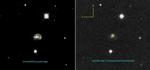 ASAS-SN Detects More Supernovae Than Other Professional Astronomical Surveys