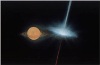 White Dwarfs Can Mimic Black Holes