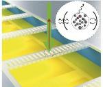 Novel Technique to Extend Storage Time of Quantum Memories