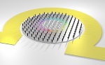 Researchers Investigate Dynamics of Skyrmions on Short Time Scales for First Time