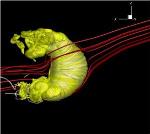 Sun's Magnetic Field Plays a Critical Role in Large-Scale Shape of the Heliosphere