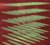 JILA Scientists Eliminate Collisions Between Atoms in an Atomic Clock