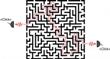 Photons Take Coordinated, Random Paths