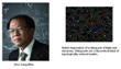 New System Successfully Classify Symmetry-Protected Phases of Matter