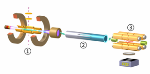 Researchers Demonstrate Coulomb Crystallization of Highly-Charged Ions for the First Time