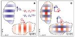 Charge Ordering That Interferes with High-Temperature Superconductivity is Stripy, not Checkered