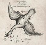 Star Observed in 1670 Must Have Been a Rarer, Violent Breed of Stellar Collision