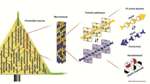 Anesthetics May Prevent Consciousness in ‘Quantum Channels’ Deep Inside Brain Neurons