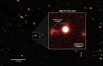 Supermassive Black Holes Can Power Huge Molecular Outflows That Remove Massive Quantities of Star-Making Gas
