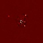 First Results from New LBT Exozodi Exoplanet Common Hunt Survey
