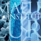 Rice Merges Rice Quantum Institute and Richard E. Smalley Institute for Nanoscale Science and Technology