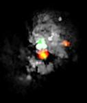 NOEMA Telescope Provides Spectacular View of 'Eye of Medusa'