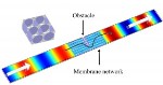 Researchers Recreate  Quantum Tunneling Effect for Sound Waves