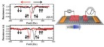 New Functionalized Homoepitaxial Structures Hold Promise for Graphene-Based Spintronic Devices