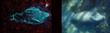 NSF’s VLA Provides More Clues on the Manatee Nebula