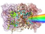 Quantum Mechanics used as the Basis to Study Photosynthesis Utilizing Supercomputers