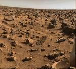Most Unusual Organisms Found on Earth Could Help Predict Extraterrestrial Life