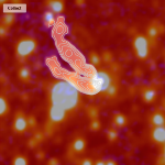 Research Shows Trained Volunteer Black Hole Hunters as Good as Professional Astronomers