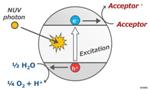 Oxygen May Not be an Essential Biomarker for Life on Extrasolar Planets