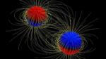 Both Stars in Newly Discovered Massive Binary Star Have Magnetic Fields