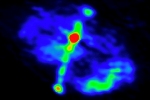 Pairs of Supermassive Black Holes in Giant Galaxies are More Rare than Previously Thought