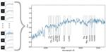 Stellar Content of Massive Dead Galaxies is Similar to Local Elliptical Galaxies