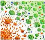 Novel Scheme to Precisely Accelerate Neutral Particles