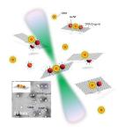 Researchers Control Intensity of Quantum Dot's Fluorescence