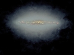 Halos' of Cosmic Rays and Magnetic Fields More Common Among Spiral Galaxies