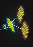 Scientists Observe Mysterious Quantum Phenomenon in Organic Molecules