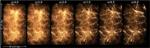 Q Continuum Run Simulates Evolution of the Universe