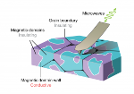 Microwave Impedance Microscopy Helps Image Electrically Conductive Boundaries Between a Material's Magnetic Regions