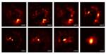 Red Giant's Clumps and Plumes of Hot Dust had Confused Generations of Astronomers