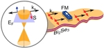 Ferromagnetic Detector Detects Spin Current on Topological Insulator Surfaces at Room Temperature